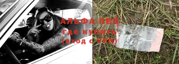 мяу мяу мука Баксан