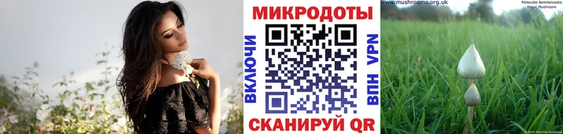 Галлюциногенные грибы Cubensis  Ликино-Дулёво 
